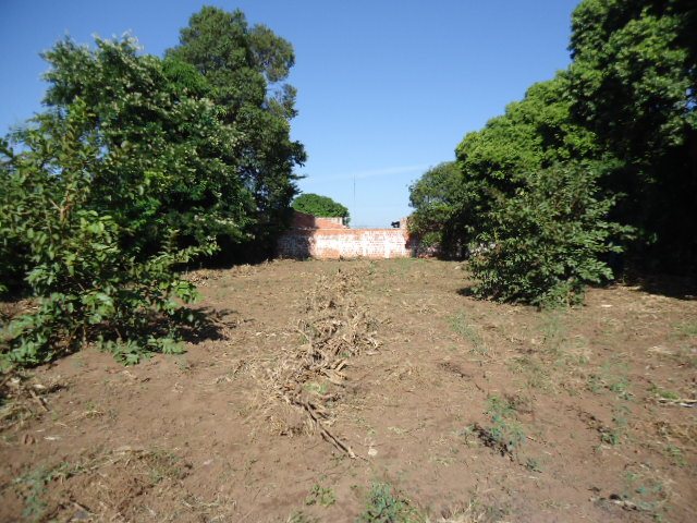 Terreno / Padrão em Ibaté , Comprar por R$1.250.000,00