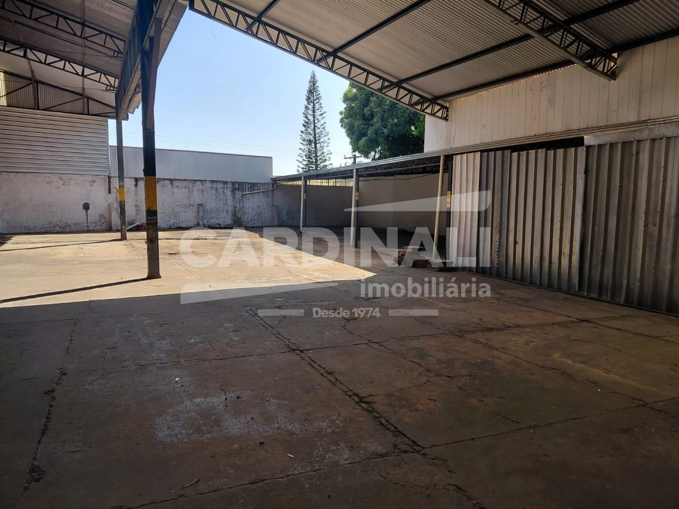 Alugar Comercial / Galpão em São Carlos R$ 15.556,00 - Foto 4