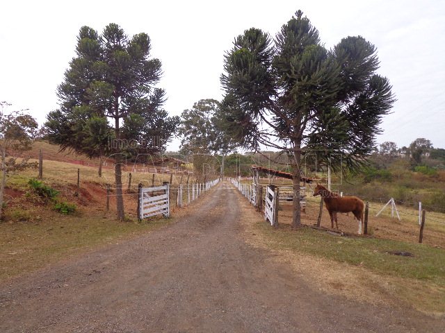 Rural / Chácara em São Carlos , Comprar por R$2.400.000,00