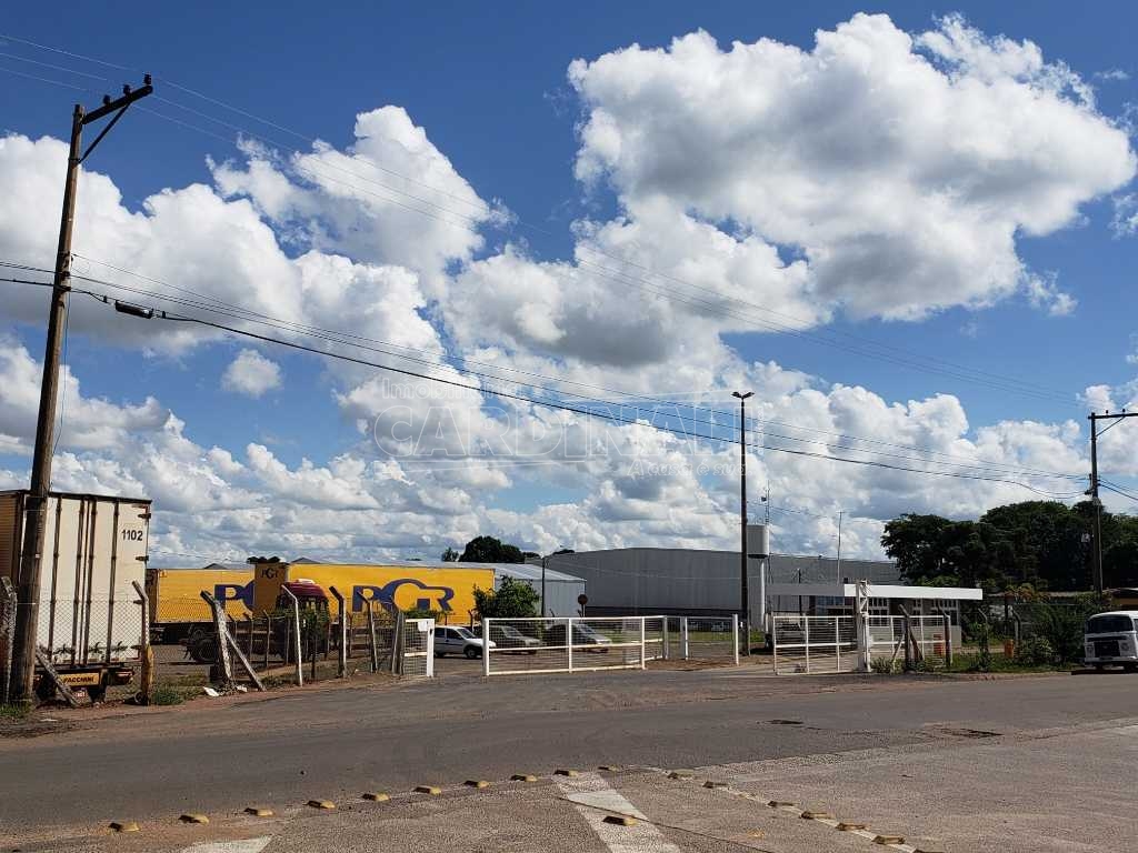 Alugar Comercial / Galpão em São Carlos R$ 5.556,00 - Foto 11 Alugar Comercial / Galpão em São Carlos R$ 5.556,00 - Foto 11