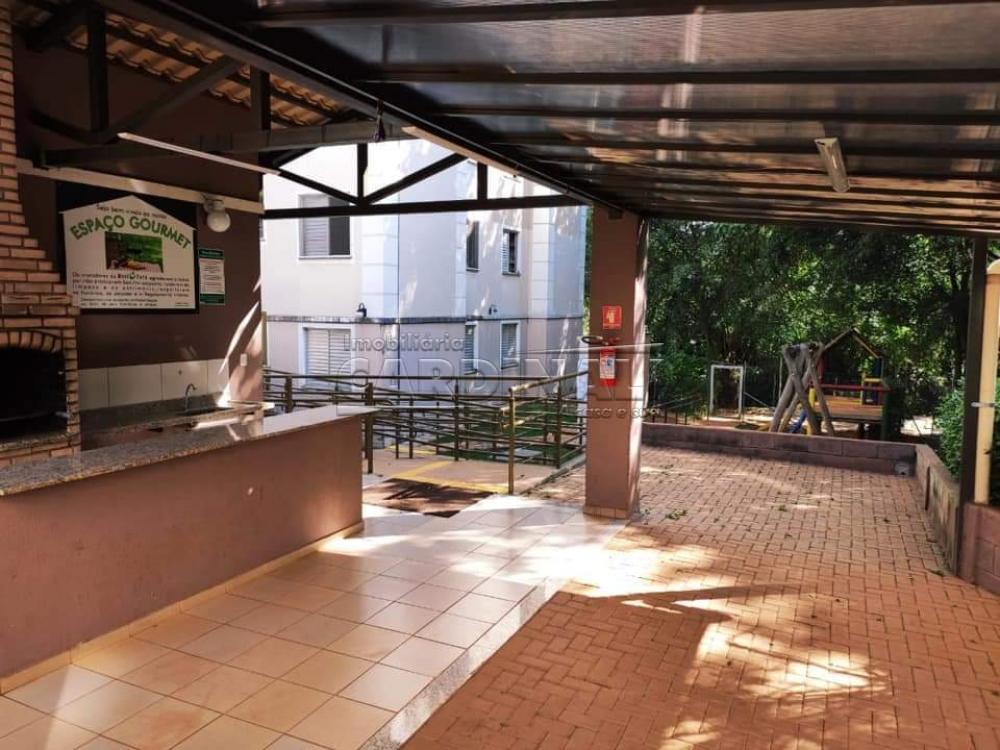 Alugar Apartamento / Padrão em São Carlos apenas R$ 667,00 - Foto 3 Alugar Apartamento / Padrão em São Carlos apenas R$ 667,00 - Foto 3