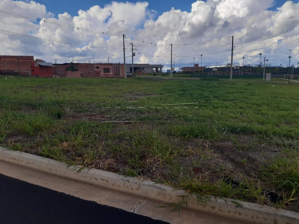 Comprar Terreno / Condomínio em São Carlos apenas R$ 280.000,00 - Foto 6 Comprar Terreno / Condomínio em São Carlos apenas R$ 280.000,00 - Foto 6