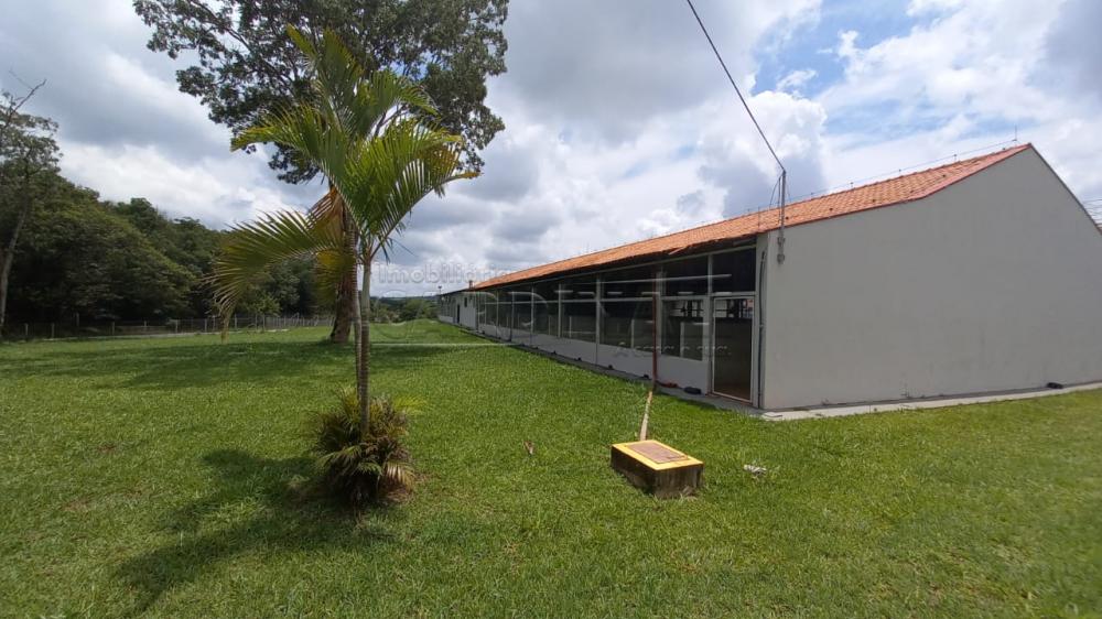 Comprar Rural / Chácara sem Condomínio em Descalvado apenas R$ 2.160.000,00 - Foto 4 Comprar Rural / Chácara sem Condomínio em Descalvado apenas R$ 2.160.000,00 - Foto 4