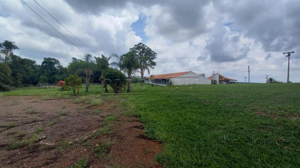Comprar Rural / Chácara sem Condomínio em Descalvado apenas R$ 2.160.000,00 - Foto 12 Comprar Rural / Chácara sem Condomínio em Descalvado apenas R$ 2.160.000,00 - Foto 12