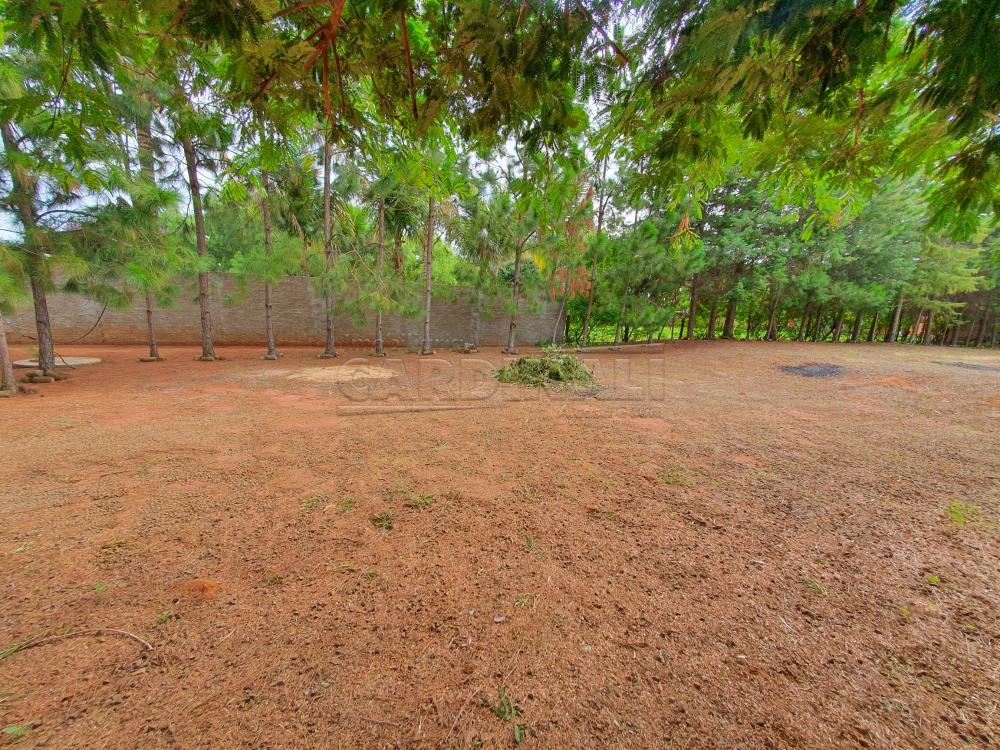 Alugar Rural / Chácara sem Condomínio em Água Vermelha apenas R$ 1.500,00 - Foto 3 Alugar Rural / Chácara sem Condomínio em Água Vermelha apenas R$ 1.500,00 - Foto 3