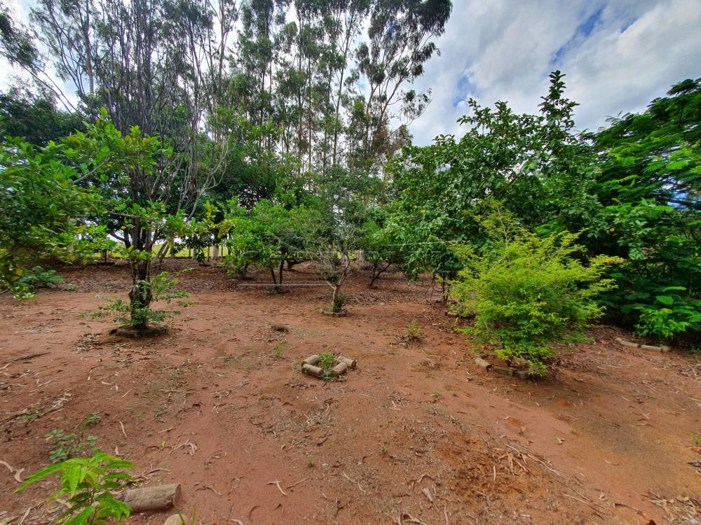 Alugar Rural / Chácara sem Condomínio em Água Vermelha apenas R$ 1.500,00 - Foto 40 Alugar Rural / Chácara sem Condomínio em Água Vermelha apenas R$ 1.500,00 - Foto 40