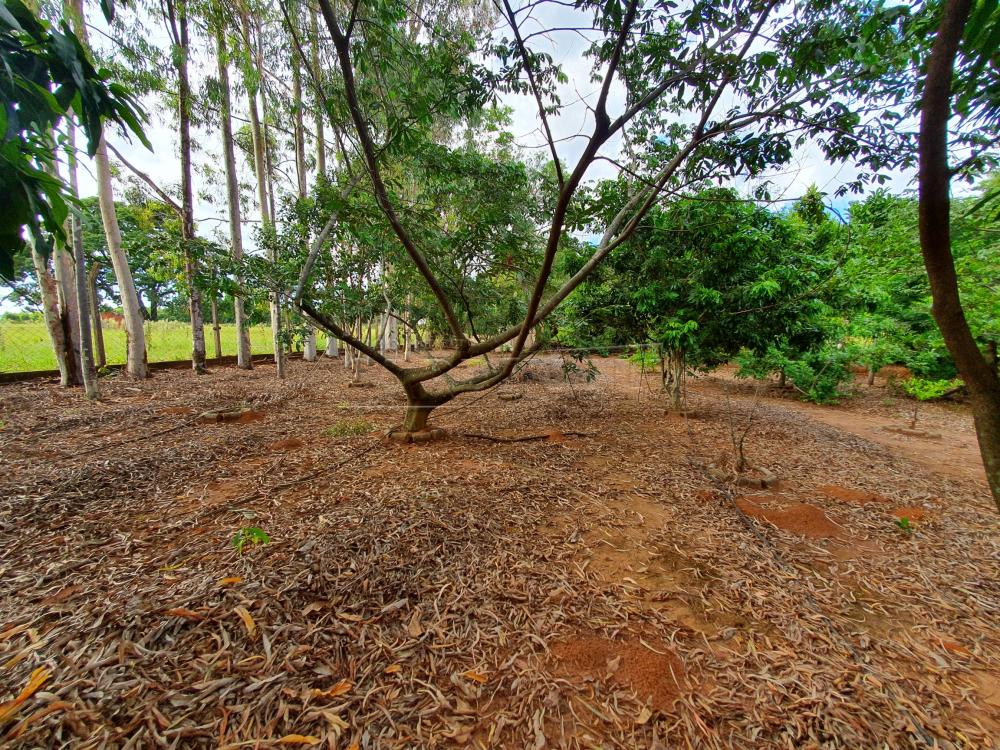 Alugar Rural / Chácara sem Condomínio em Água Vermelha apenas R$ 1.500,00 - Foto 41 Alugar Rural / Chácara sem Condomínio em Água Vermelha apenas R$ 1.500,00 - Foto 41