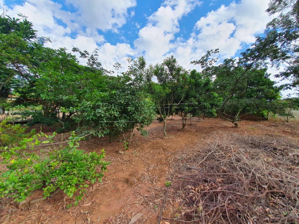 Alugar Rural / Chácara sem Condomínio em Água Vermelha apenas R$ 1.500,00 - Foto 42 Alugar Rural / Chácara sem Condomínio em Água Vermelha apenas R$ 1.500,00 - Foto 42