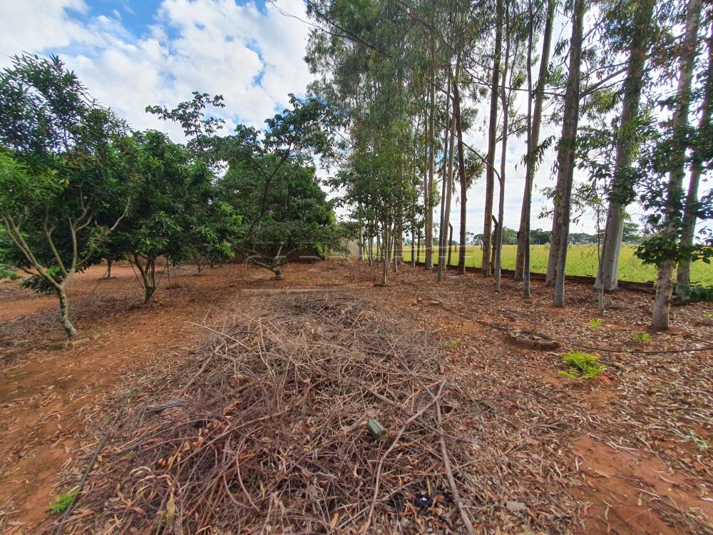 Alugar Rural / Chácara sem Condomínio em Água Vermelha apenas R$ 1.500,00 - Foto 43 Alugar Rural / Chácara sem Condomínio em Água Vermelha apenas R$ 1.500,00 - Foto 43