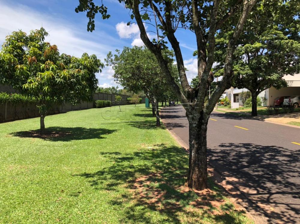 Comprar Casa / Condomínio em São Carlos apenas R$ 1.790.000,00 - Foto 5 Comprar Casa / Condomínio em São Carlos apenas R$ 1.790.000,00 - Foto 5