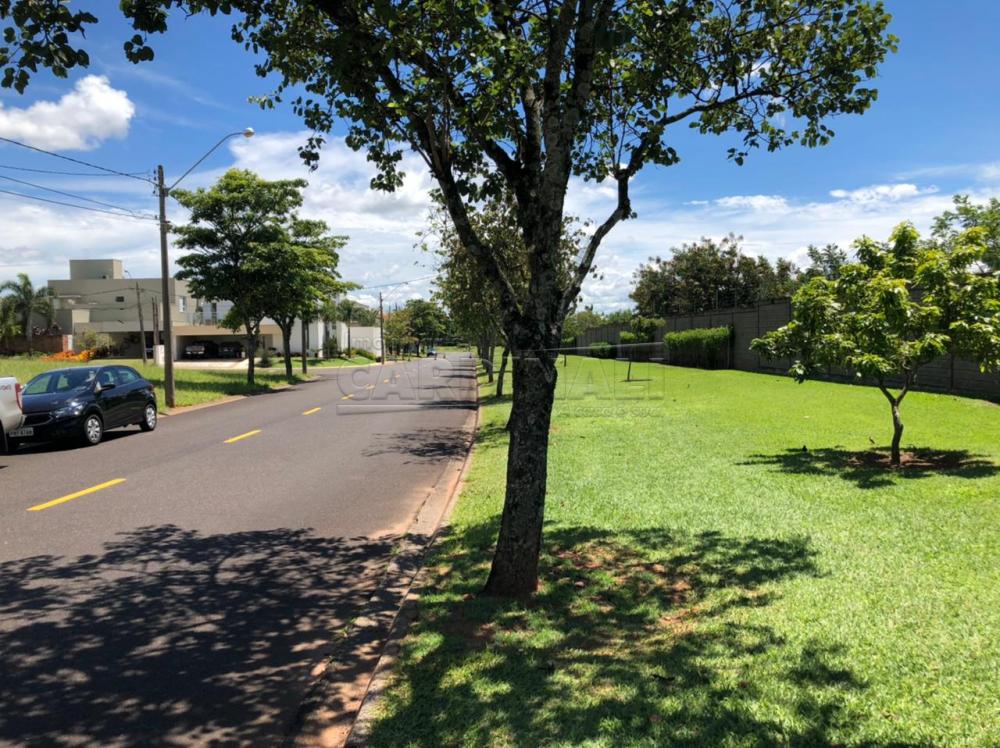 Comprar Casa / Condomínio em São Carlos apenas R$ 1.790.000,00 - Foto 6 Comprar Casa / Condomínio em São Carlos apenas R$ 1.790.000,00 - Foto 6