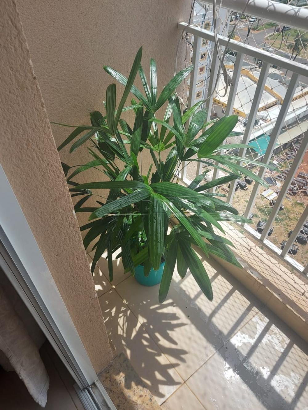 Comprar Apartamento / Padrão em São Carlos R$ 309.000,00 - Foto 14 Comprar Apartamento / Padrão em São Carlos R$ 309.000,00 - Foto 14