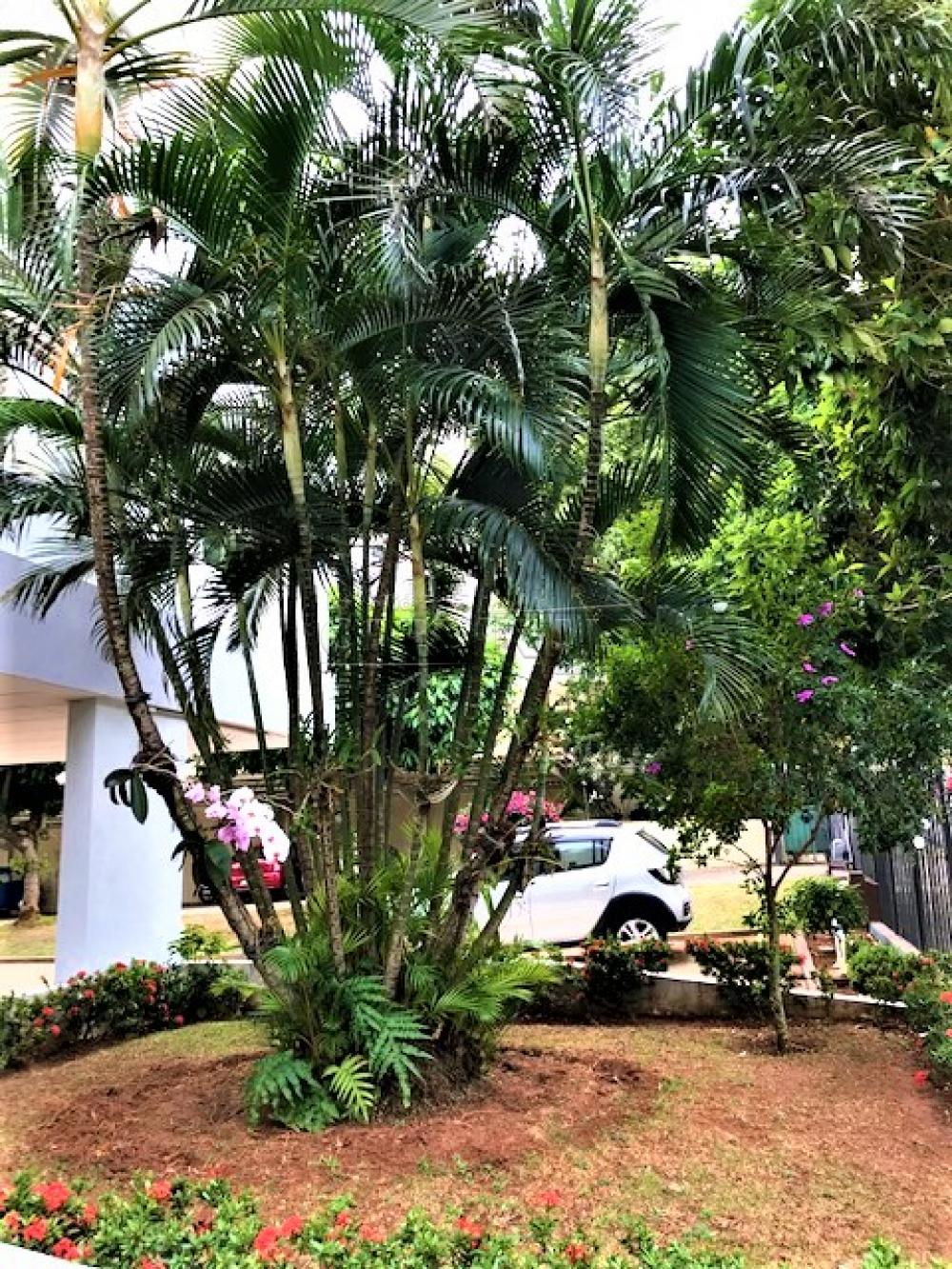 Comprar Apartamento / Padrão em São Carlos R$ 370.000,00 - Foto 3 Comprar Apartamento / Padrão em São Carlos R$ 370.000,00 - Foto 3