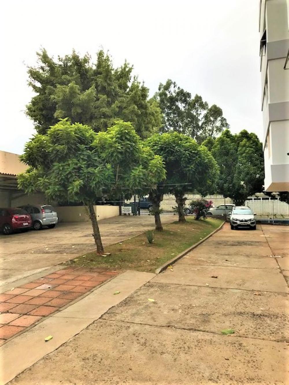 Comprar Apartamento / Padrão em São Carlos R$ 370.000,00 - Foto 35 Comprar Apartamento / Padrão em São Carlos R$ 370.000,00 - Foto 35