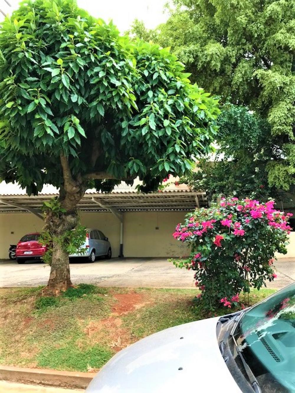Comprar Apartamento / Padrão em São Carlos R$ 370.000,00 - Foto 39 Comprar Apartamento / Padrão em São Carlos R$ 370.000,00 - Foto 39