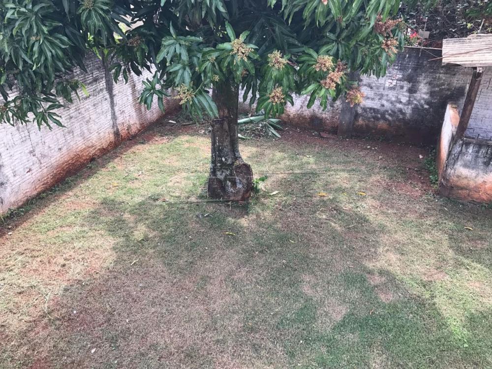 Comprar Casa / Padrão em São Carlos R$ 660.000,00 - Foto 32 Comprar Casa / Padrão em São Carlos R$ 660.000,00 - Foto 32