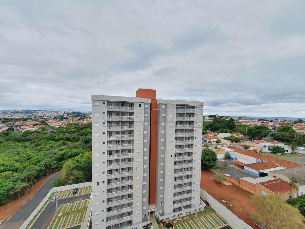Alugar Apartamento / Padrão em São Carlos R$ 778,00 - Foto 8 Alugar Apartamento / Padrão em São Carlos R$ 778,00 - Foto 8