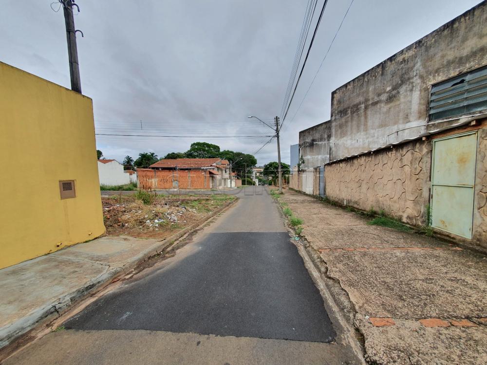 Alugar Apartamento / Kitnet em São Carlos R$ 667,00 - Foto 8 Alugar Apartamento / Kitnet em São Carlos R$ 667,00 - Foto 8
