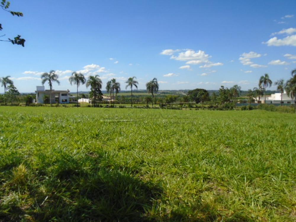 Parque Eco Esportivo Damha – São Carlos, SP