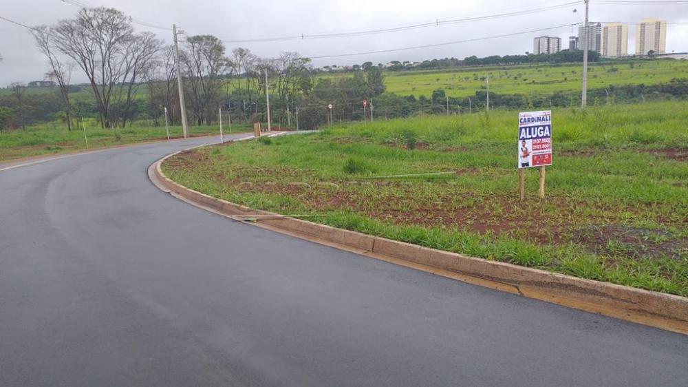 Comercial / Terreno em São Carlos Alugar por R$1.000,00