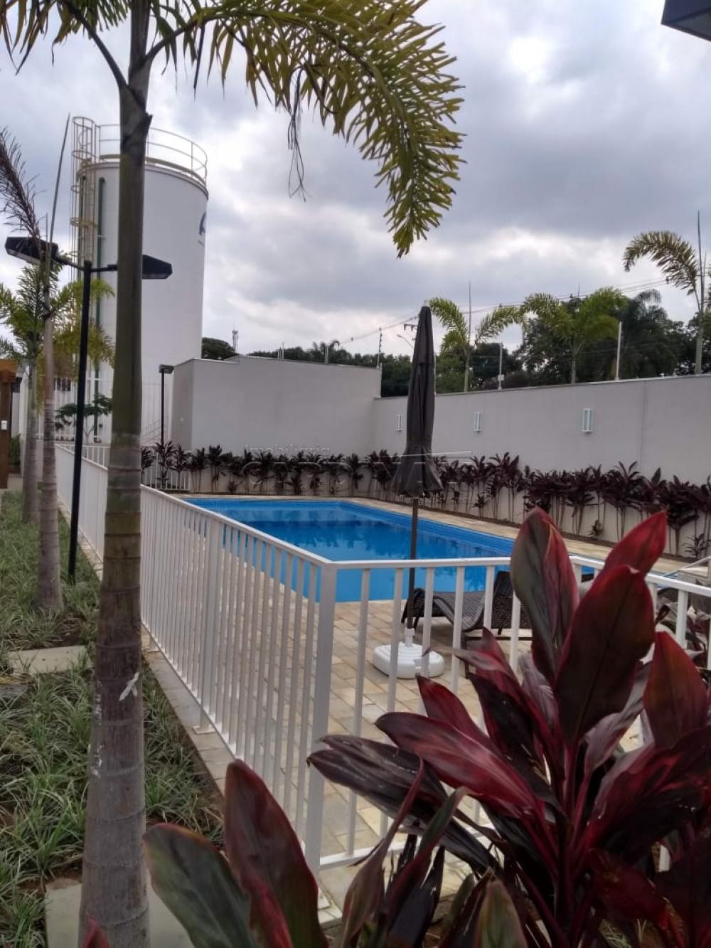 Alugar Apartamento / Padrão em São Carlos R$ 1.500,00 - Foto 4