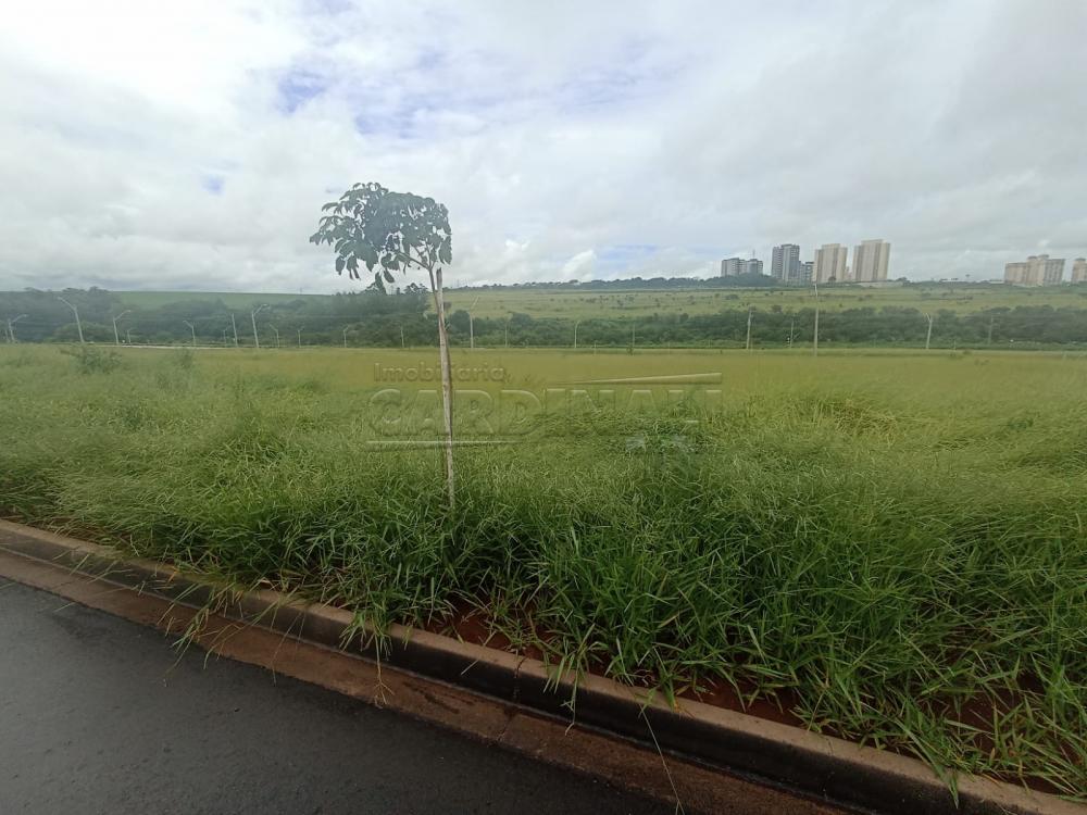 Terreno / Padrão em São Carlos 