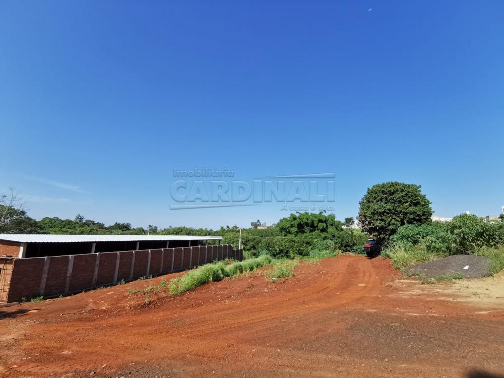 Terreno / Padrão em Araraquara Alugar por R$6.500,00