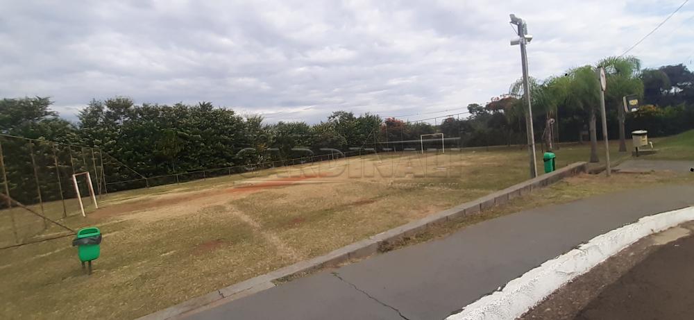 Alugar Casa / Condomínio em São Carlos R$ 2.778,00 - Foto 39