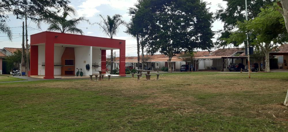 Alugar Casa / Condomínio em São Carlos R$ 2.778,00 - Foto 42
