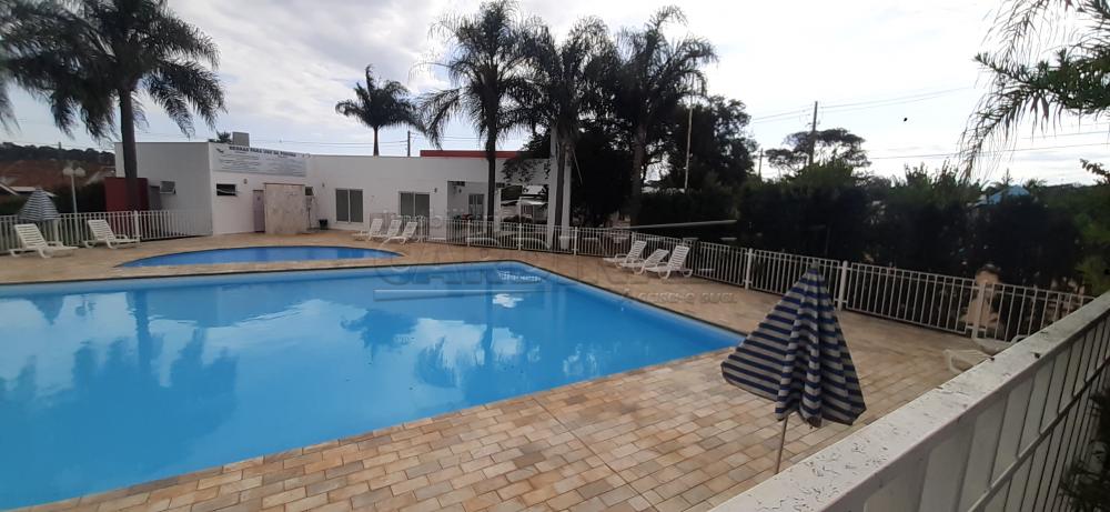 Alugar Casa / Condomínio em São Carlos R$ 2.778,00 - Foto 45