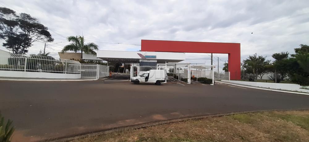 Alugar Casa / Condomínio em São Carlos R$ 2.778,00 - Foto 1