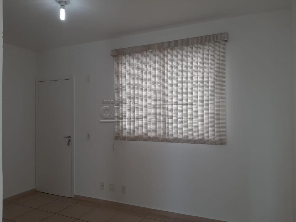 Alugar Apartamento / Padrão em Araraquara R$ 700,00 - Foto 1