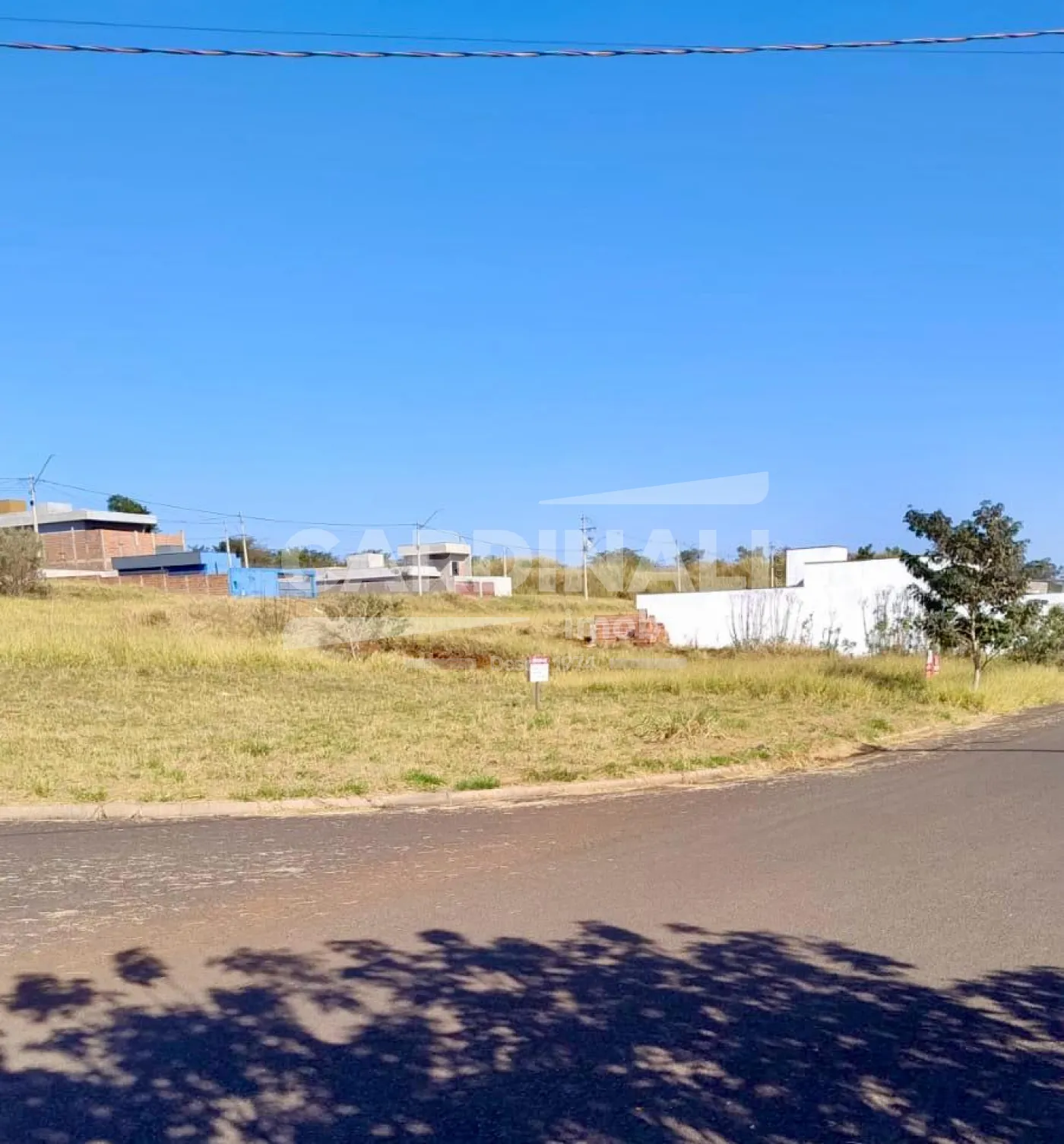 Terreno / Padrão em São Carlos 