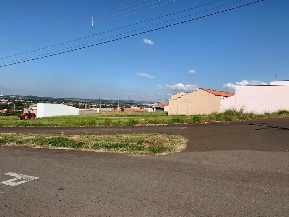 Terreno / Padrão em Descalvado , Comprar por R$150.000,00