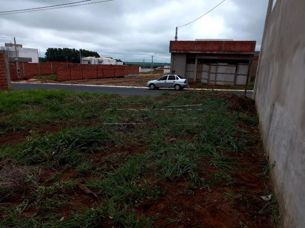 Terreno / Padrão em Ibaté , Comprar por R$110.000,00