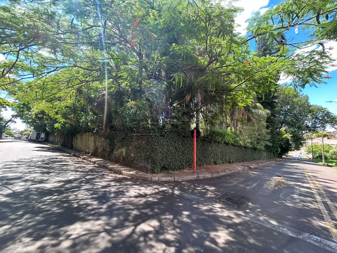 Alugar Casa / Padrão em São Carlos R$ 7.223,00 - Foto 7
