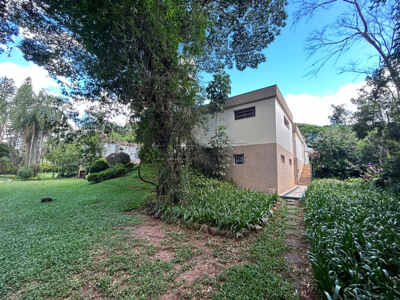 Alugar Casa / Padrão em São Carlos R$ 7.223,00 - Foto 67