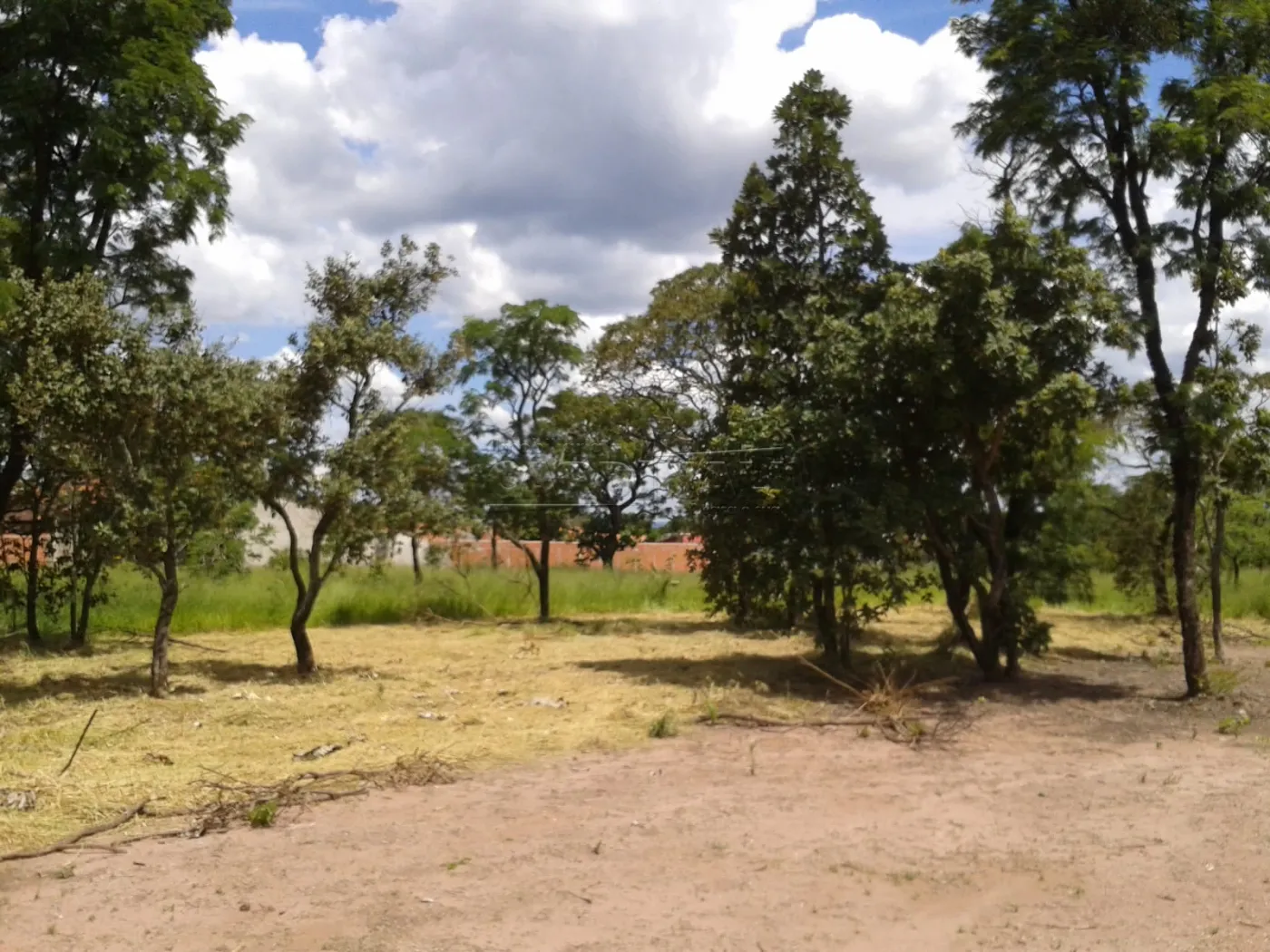 Terreno / Padrão em Brotas , Comprar por R$106.500,00