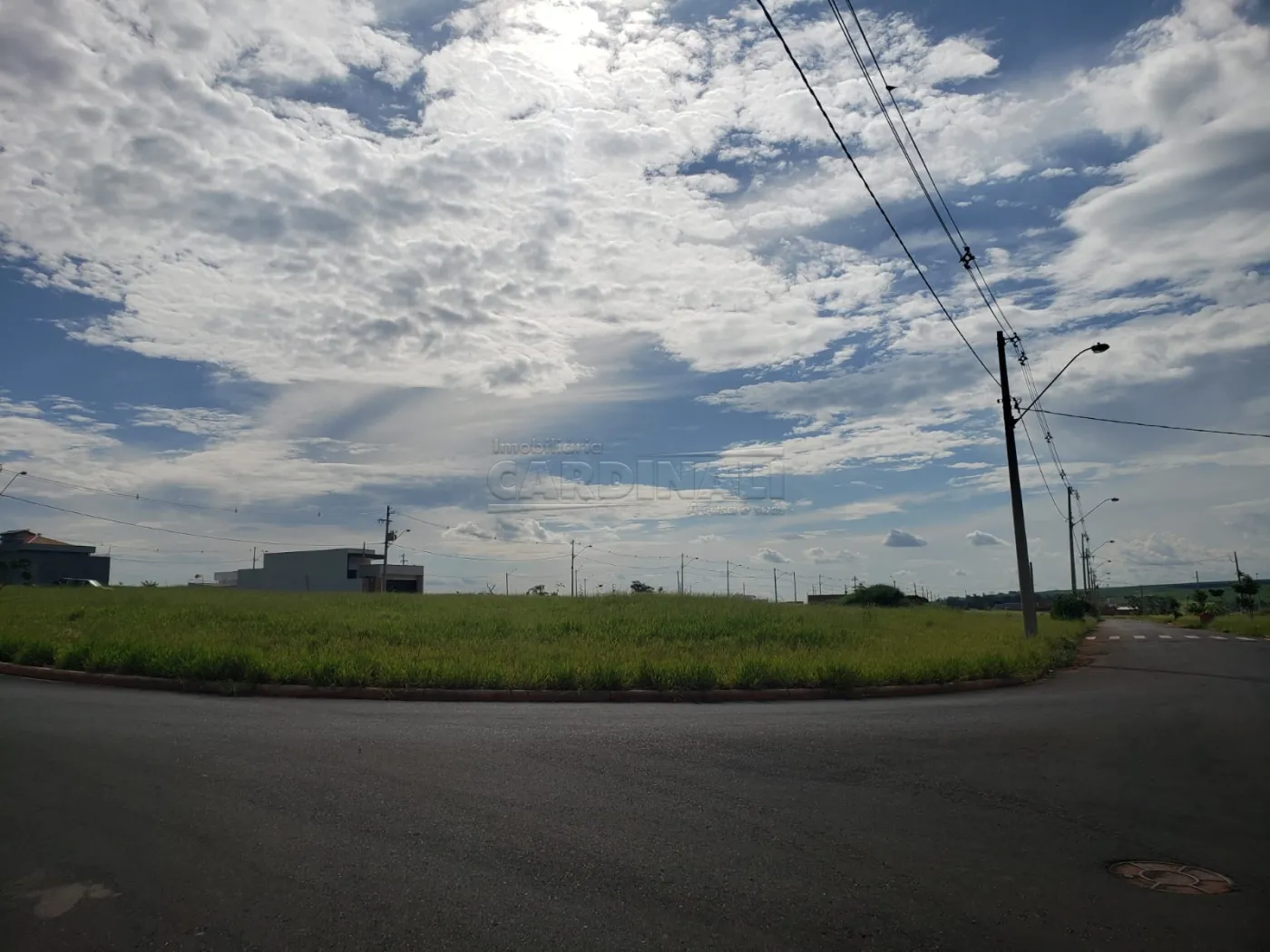 Terreno / Padrão em São Carlos 