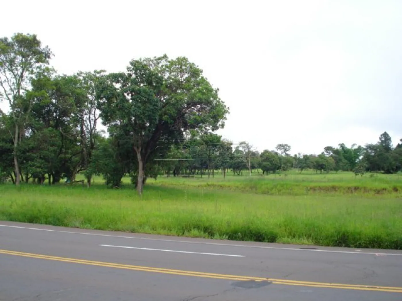 Rural / Área em Dourado , Comprar por R$4.769.200,00