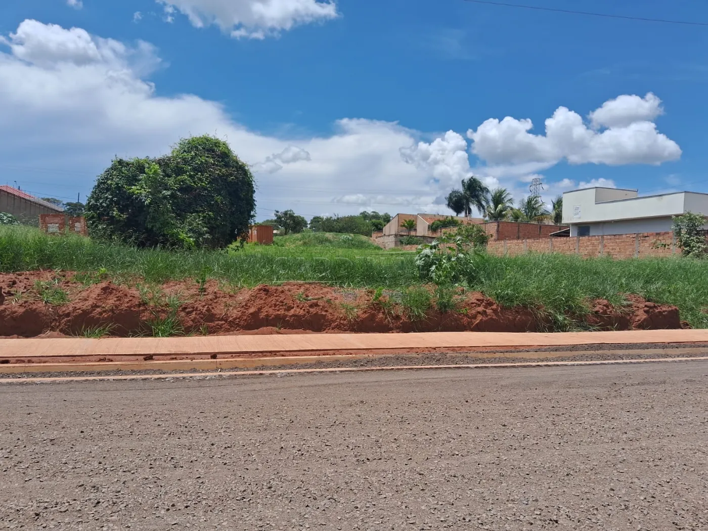 Terreno / Padrão em Araraquara 