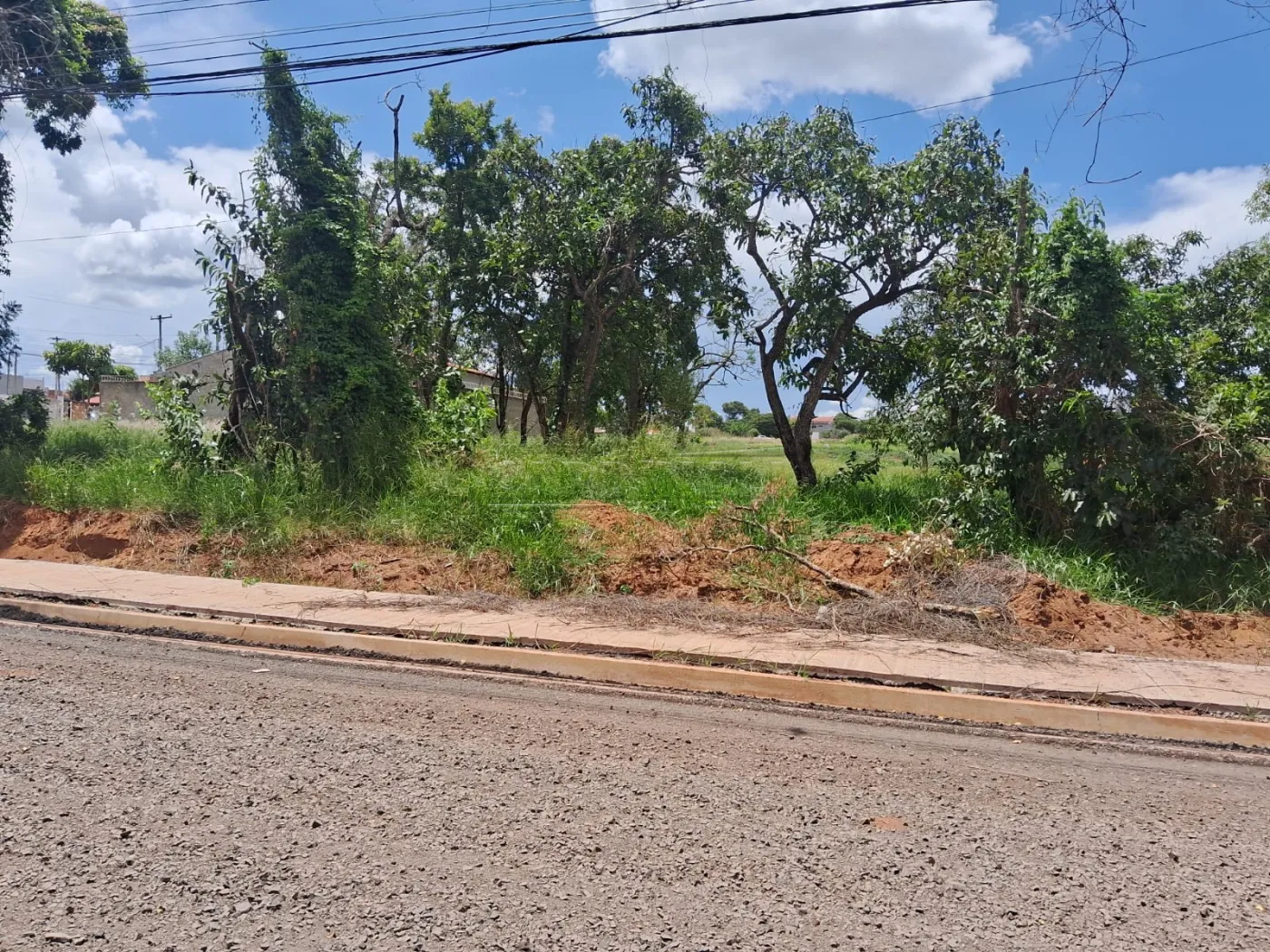 Terreno / Padrão em Araraquara , Comprar por R$160.000,00