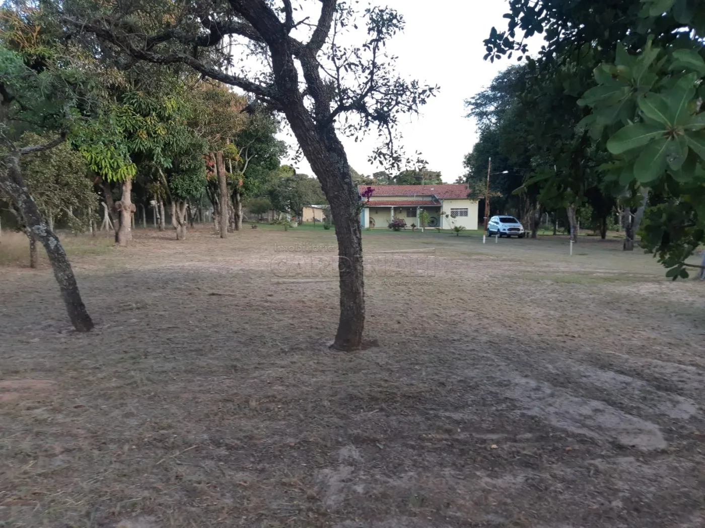 Rural / Chácara em São Carlos 