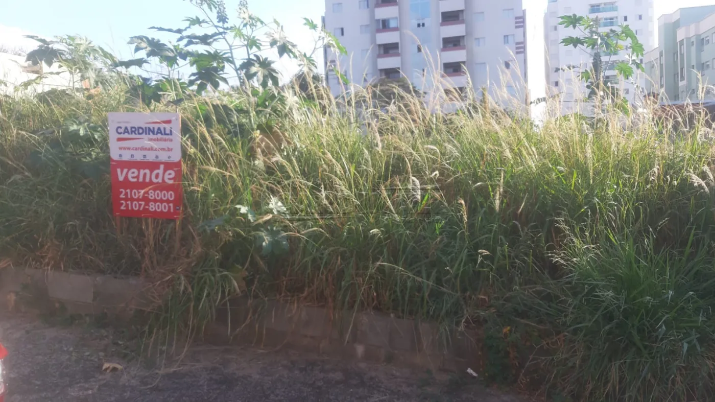 Terreno / Padrão em São Carlos 