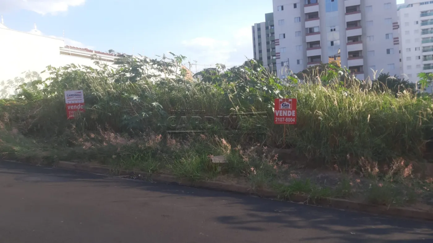 Terreno / Padrão em São Carlos 