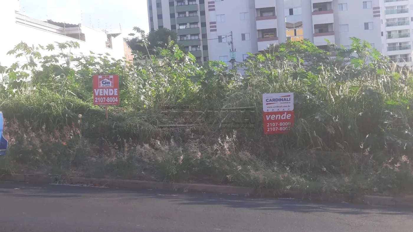 Terreno / Padrão em São Carlos 