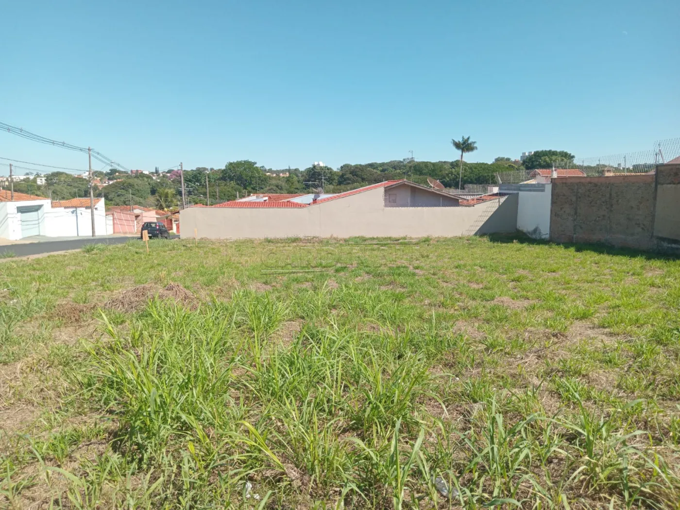 Terreno / Padrão em São Carlos 