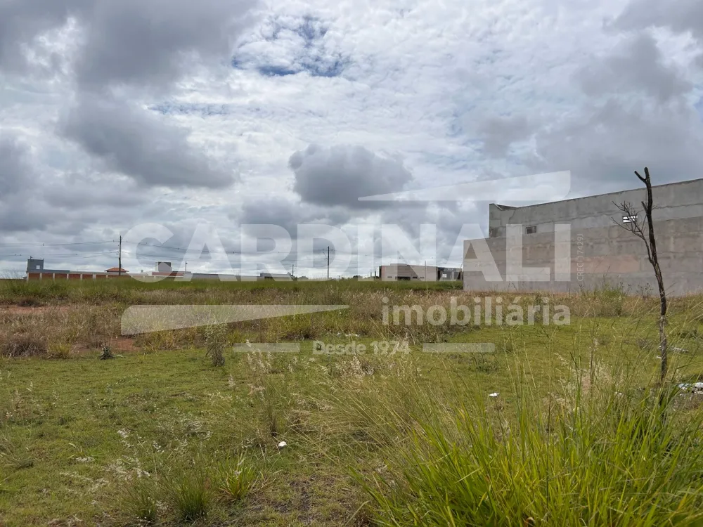 Terreno / Padrão em São Carlos Alugar por R$2.778,00