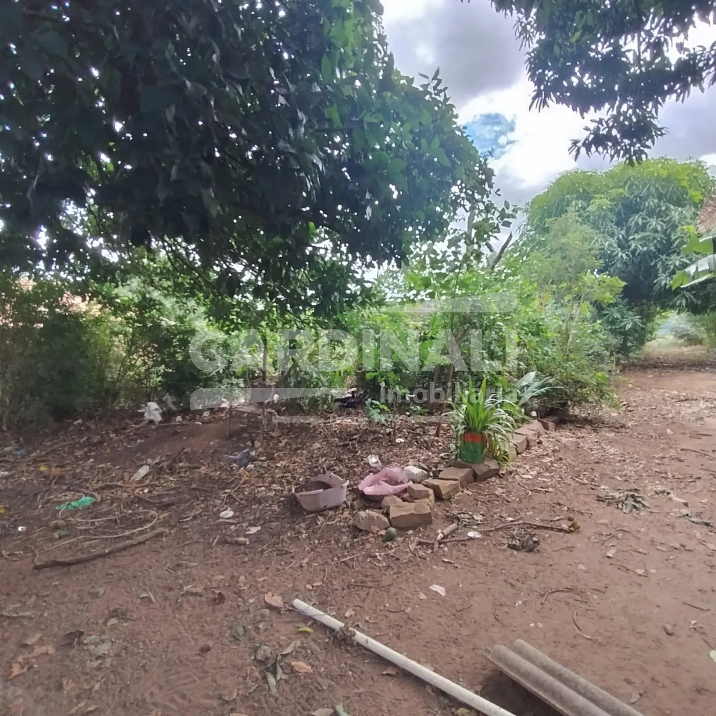 Terreno / Padrão em São Carlos , Comprar por R$790.000,00