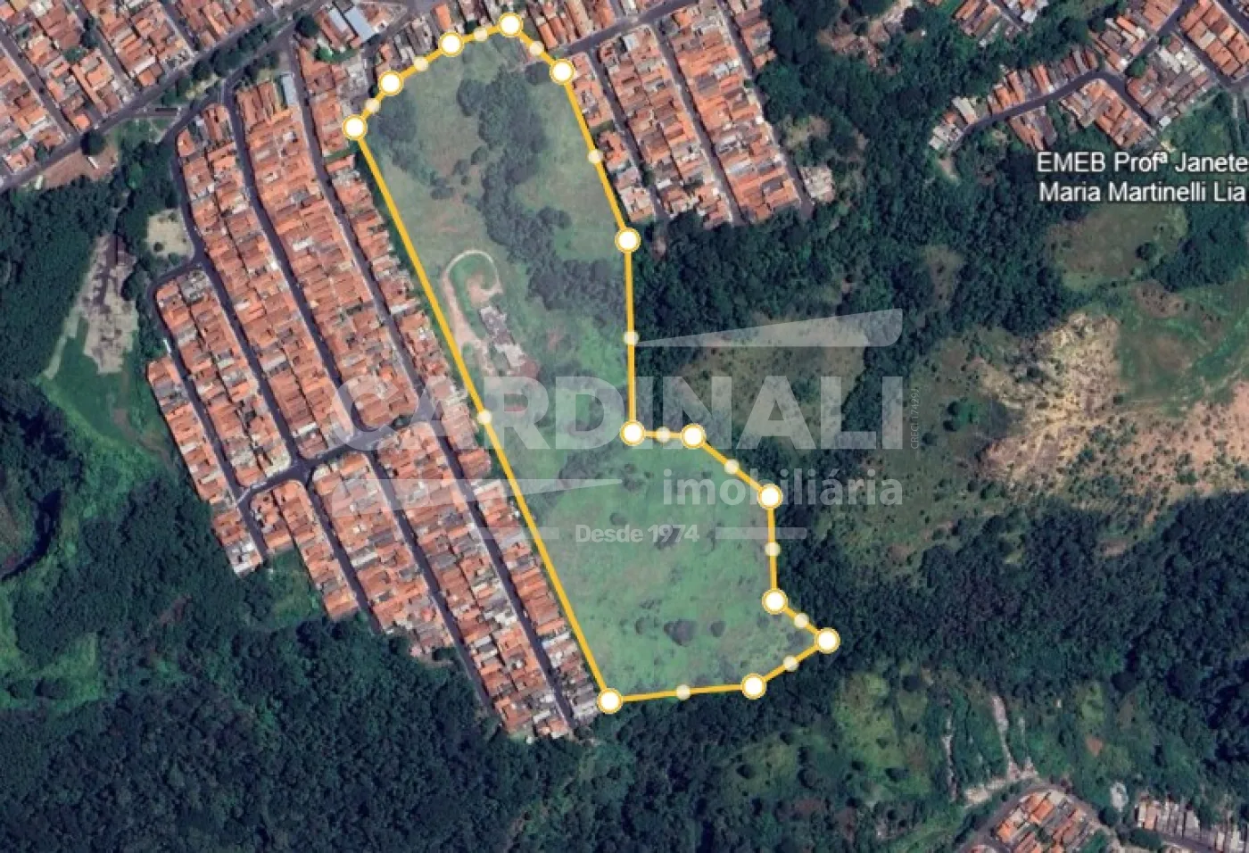Rural / Área em São Carlos , Comprar por R$3.998.000,00